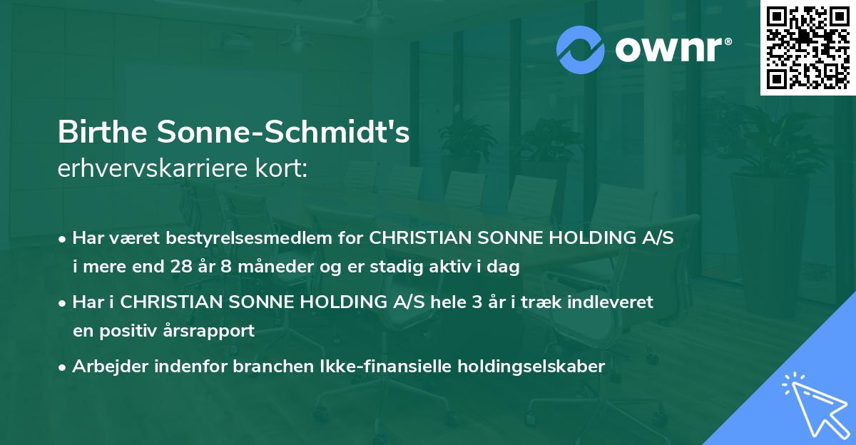 Birthe Sonne-Schmidt's erhvervskarriere kort