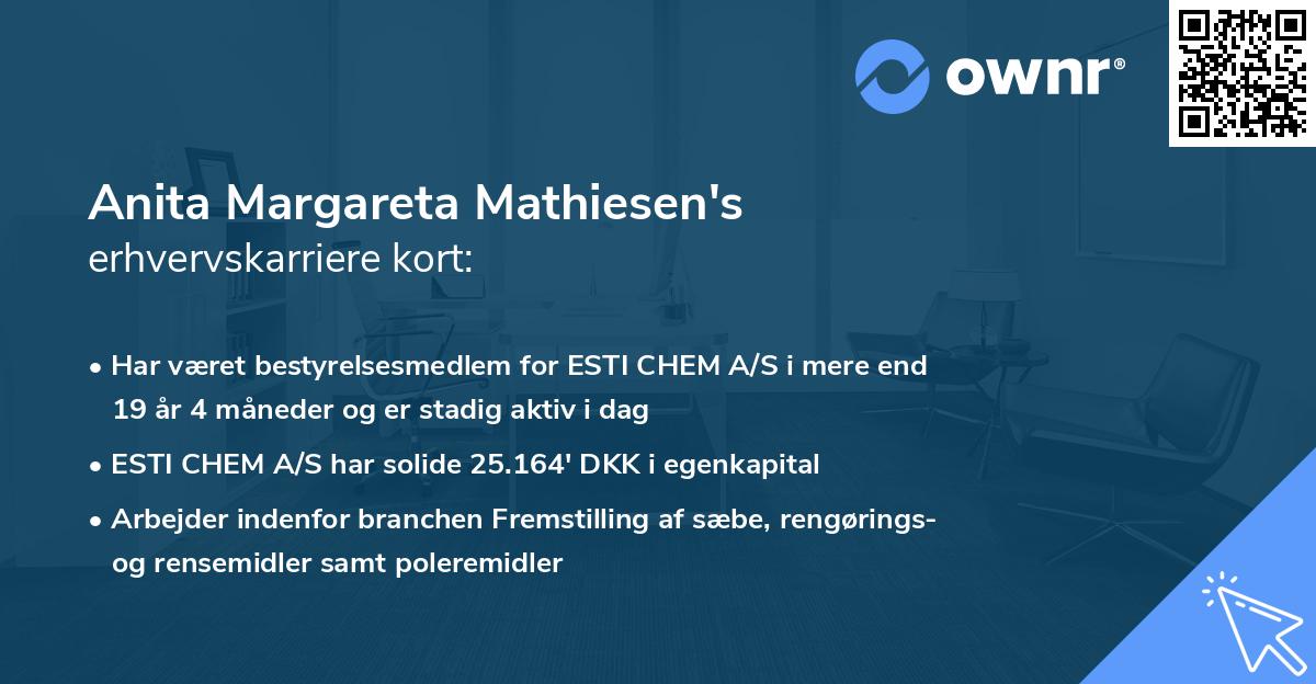 Anita Margareta Mathiesen's erhvervskarriere kort