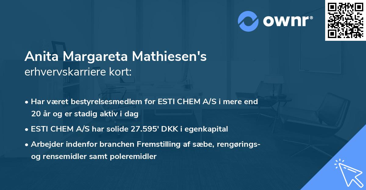 Anita Margareta Mathiesen's erhvervskarriere kort