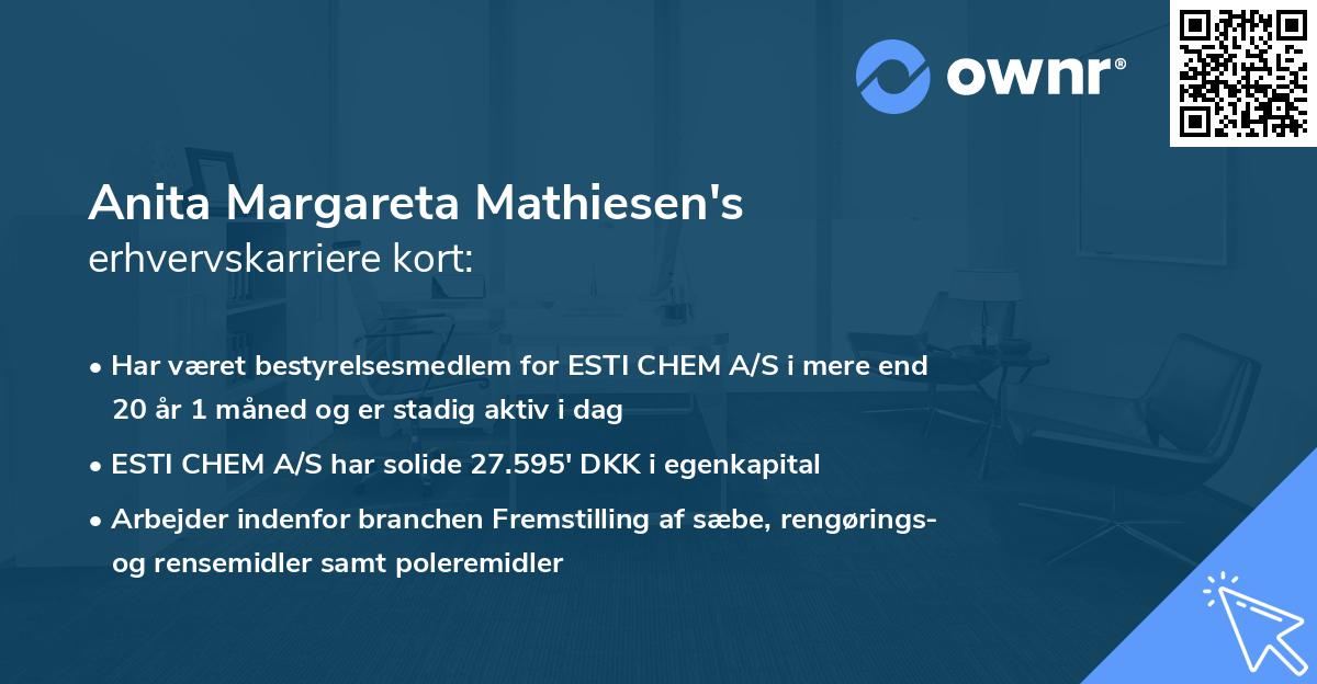 Anita Margareta Mathiesen's erhvervskarriere kort