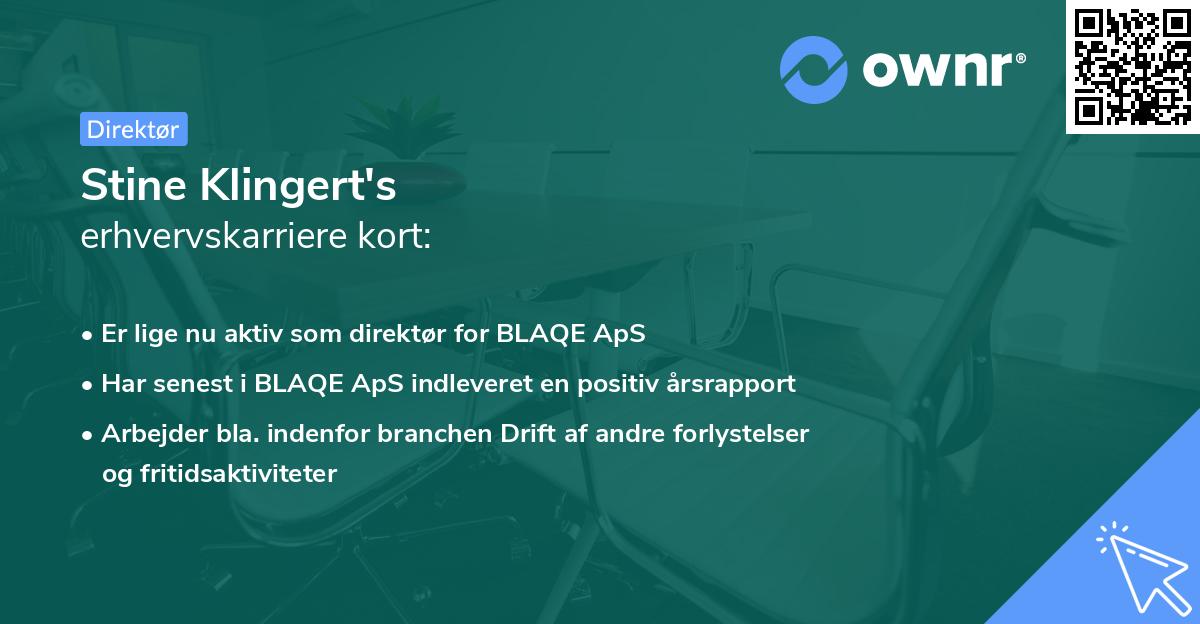 Stine Klingert's erhvervskarriere kort