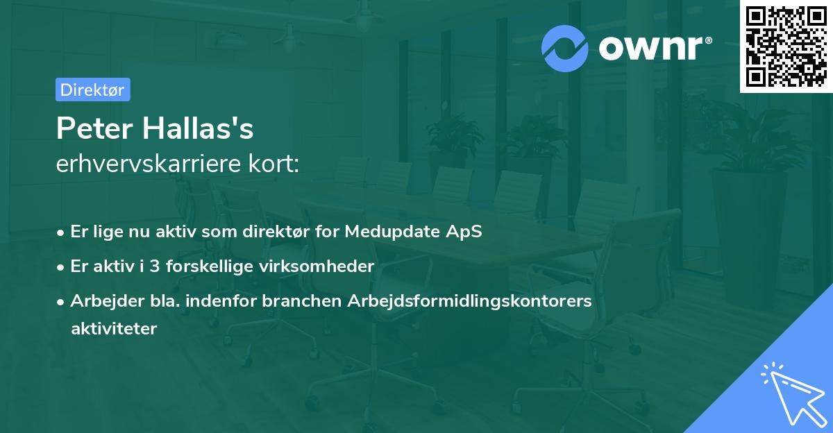 Peter Hallas's erhvervskarriere kort