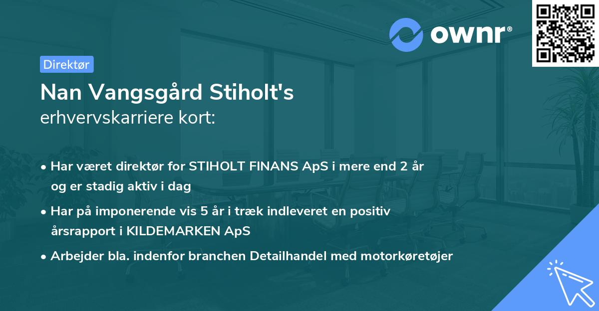 Nan Vangsgård Stiholt's erhvervskarriere kort