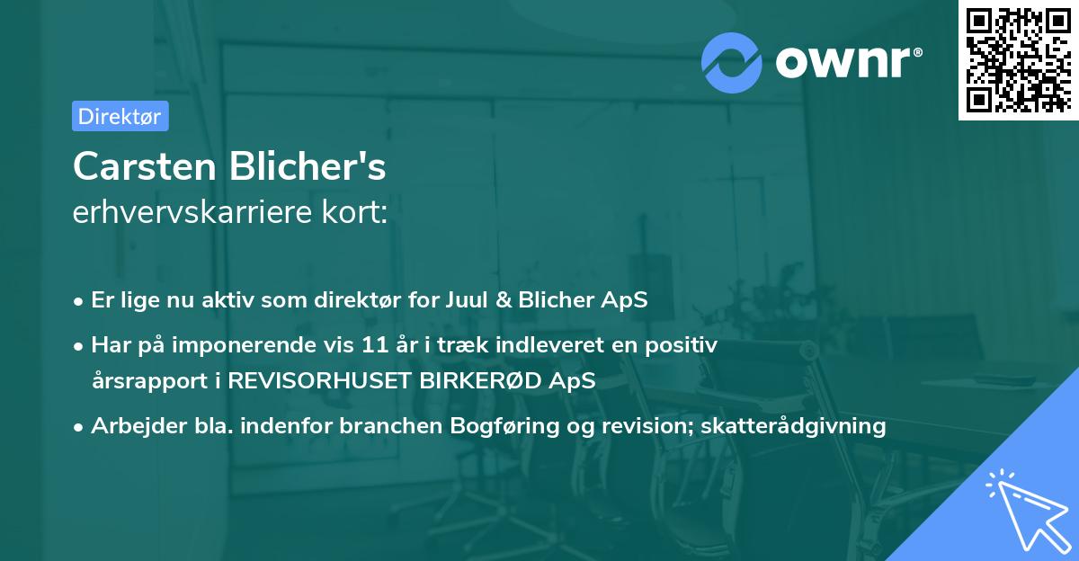 Carsten Blicher's erhvervskarriere kort