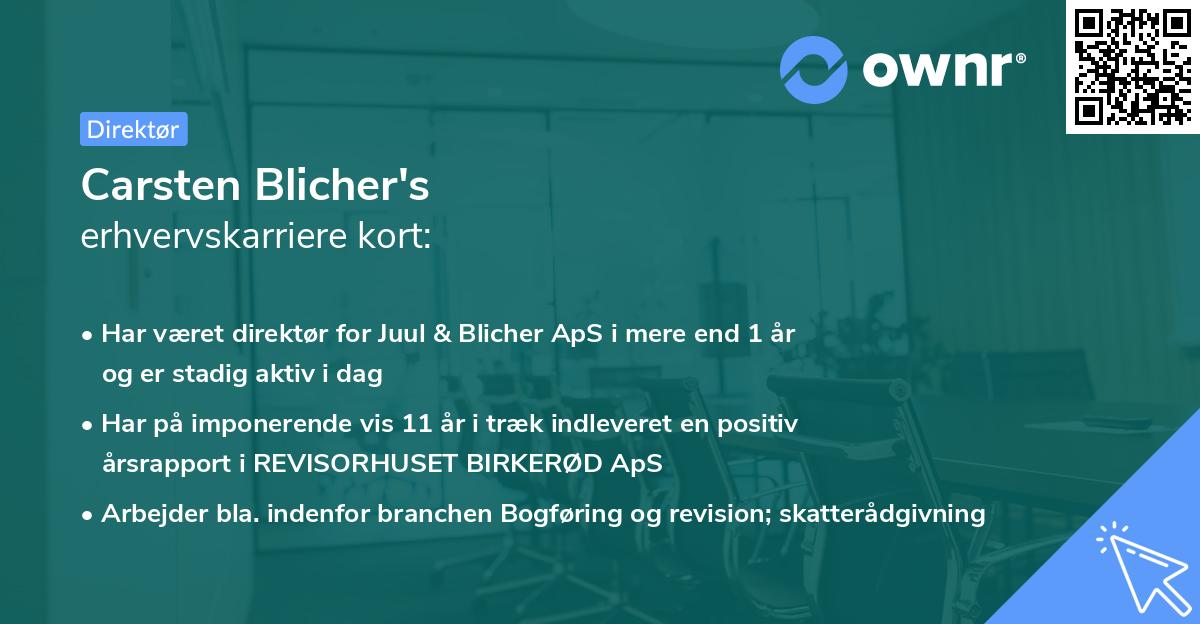 Carsten Blicher's erhvervskarriere kort