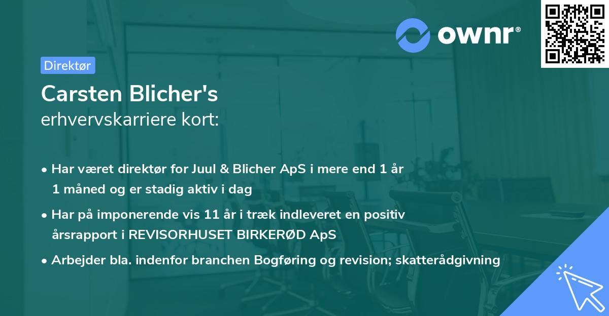 Carsten Blicher's erhvervskarriere kort