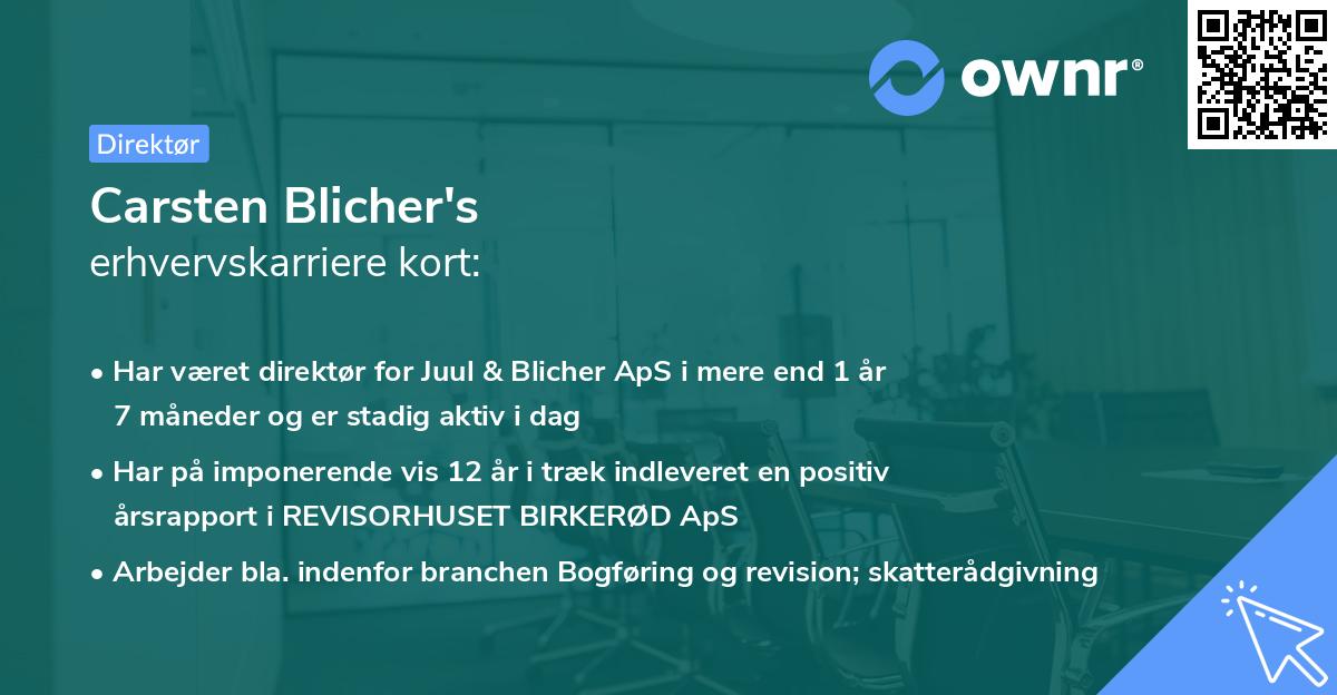 Carsten Blicher's erhvervskarriere kort