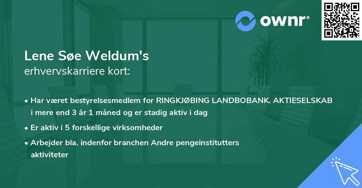 Lene Søe Weldum's erhvervskarriere kort