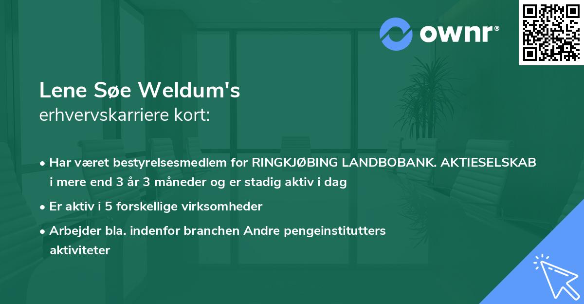 Lene Søe Weldum's erhvervskarriere kort