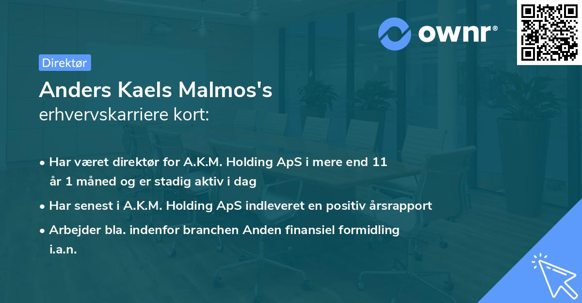 Anders Kaels Malmos's erhvervskarriere kort