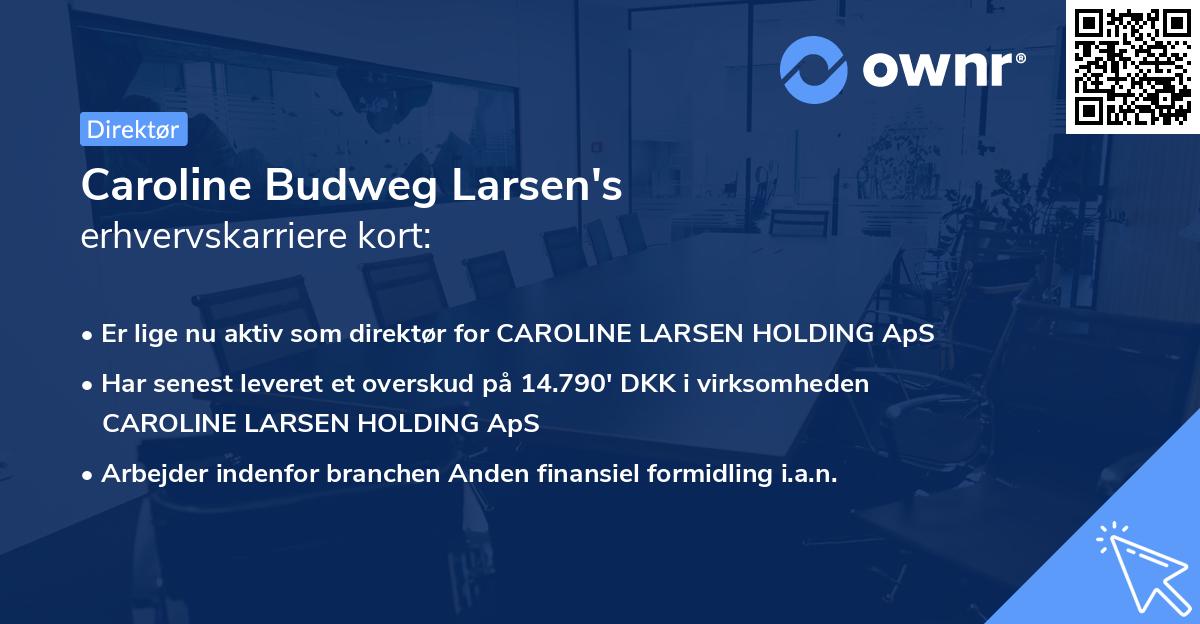 Caroline Budweg Larsen's erhvervskarriere kort