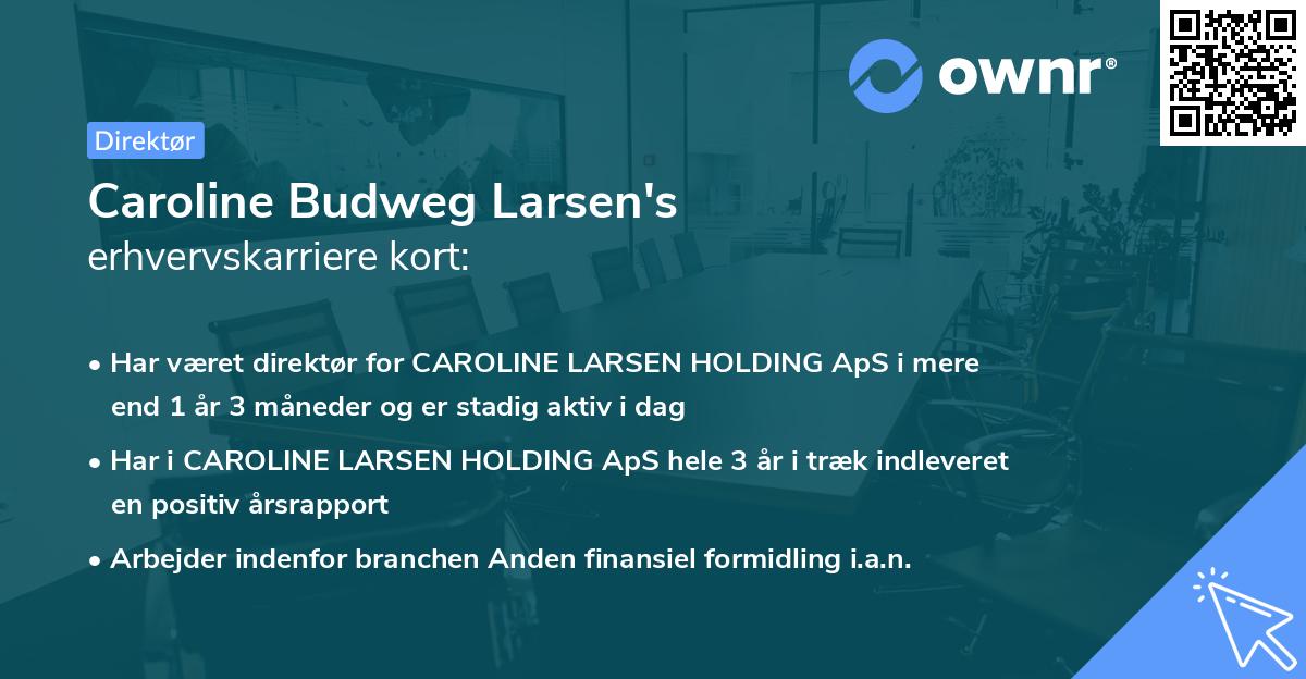 Caroline Budweg Larsen's erhvervskarriere kort