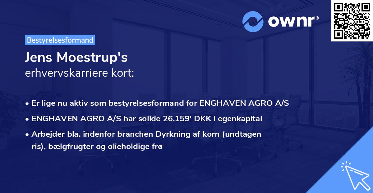 Jens Moestrup's erhvervskarriere kort
