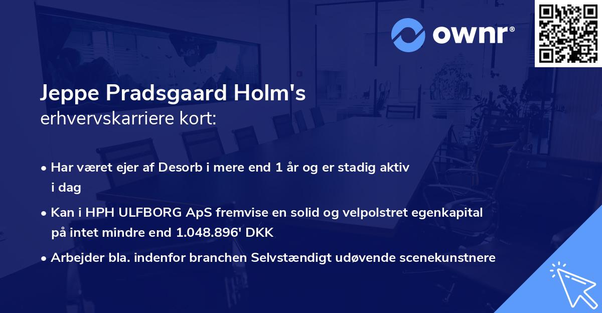 Jeppe Pradsgaard Holm's erhvervskarriere kort