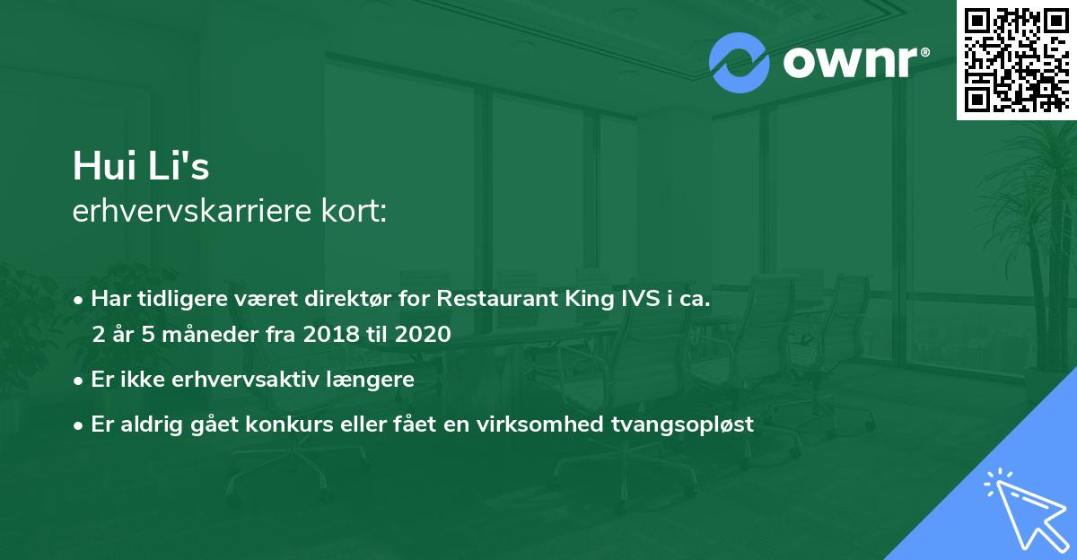 Hui Li's erhvervskarriere kort