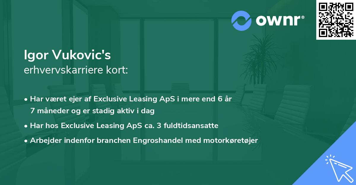 Igor Vukovic's erhvervskarriere kort