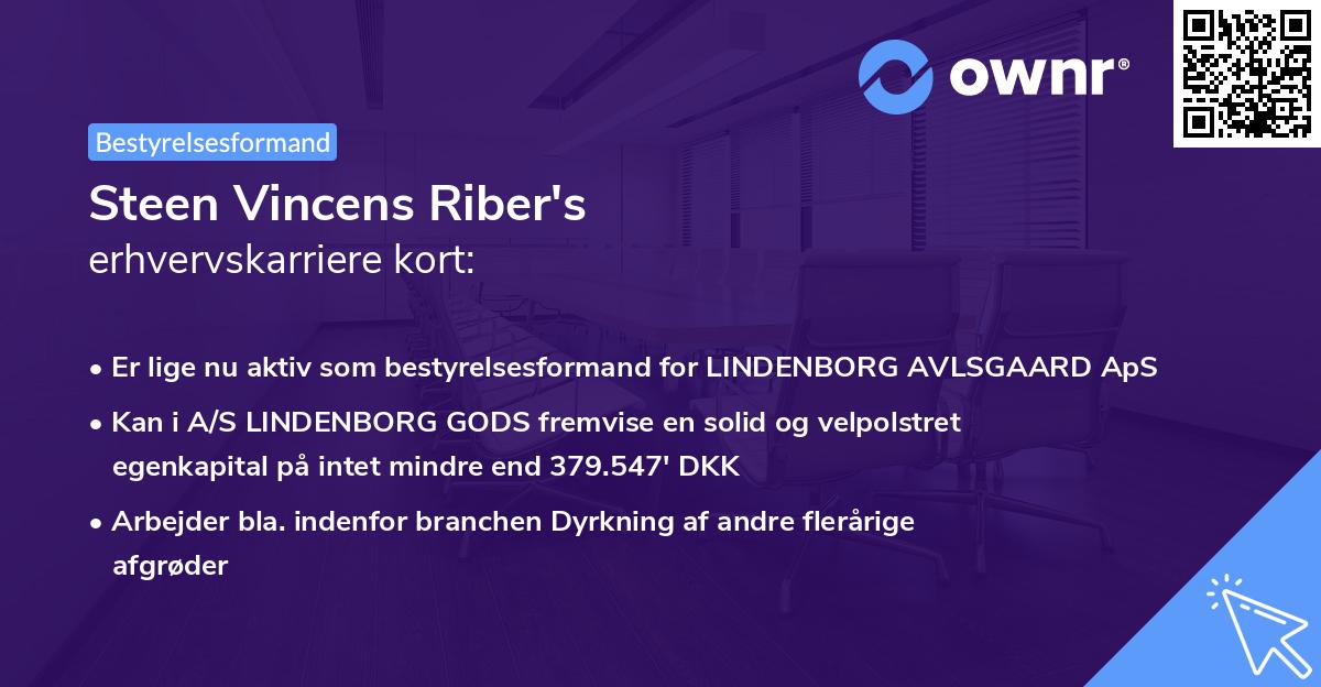 Steen Vincens Riber's erhvervskarriere kort
