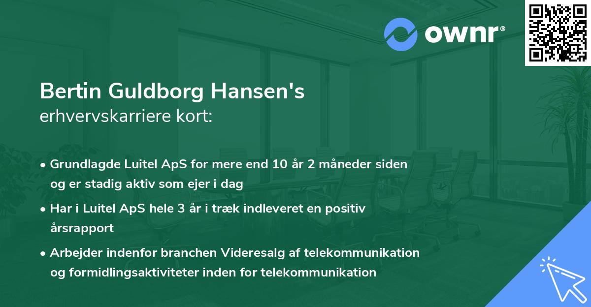 Bertin Guldborg Hansen's erhvervskarriere kort