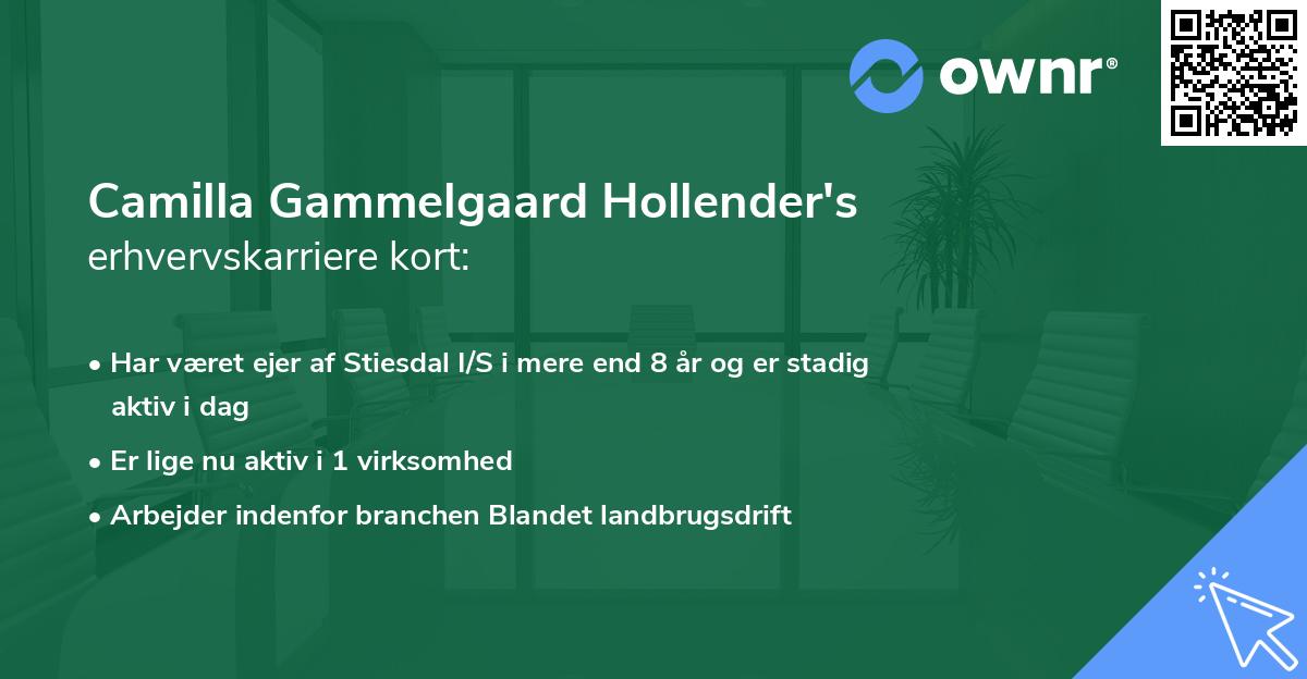 Camilla Gammelgaard Hollender's erhvervskarriere kort