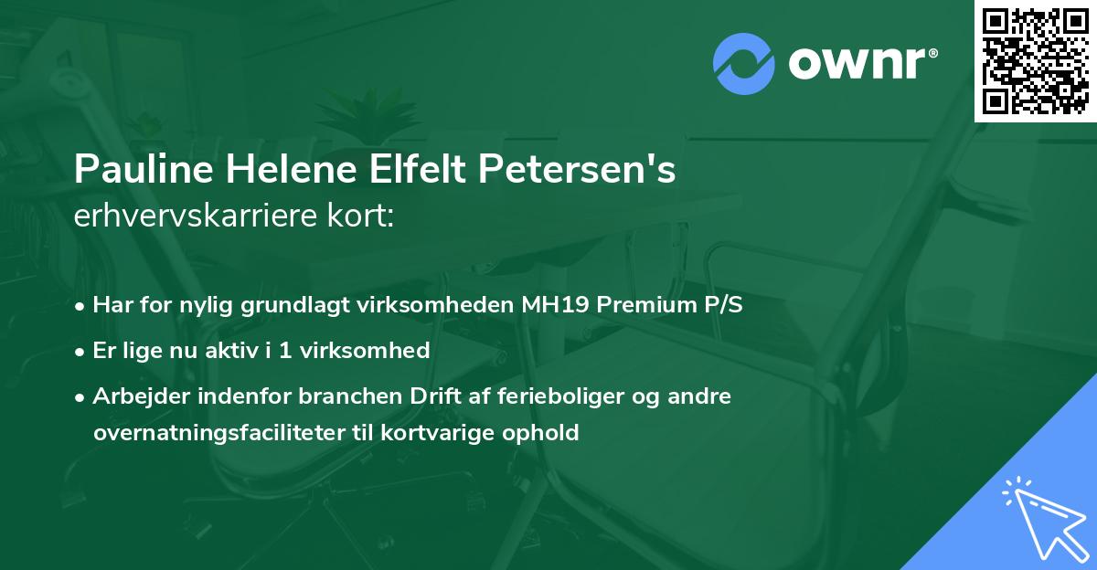 Pauline Helene Elfelt Petersen's erhvervskarriere kort