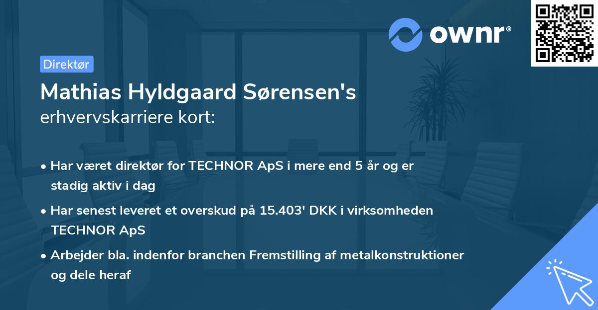 Mathias Hyldgaard Sørensen's erhvervskarriere kort