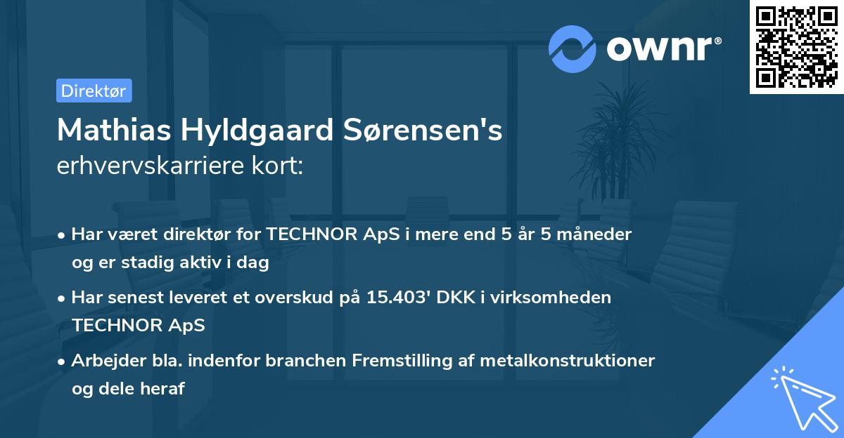 Mathias Hyldgaard Sørensen's erhvervskarriere kort