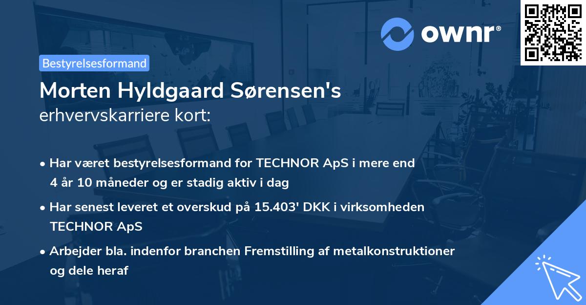 Morten Hyldgaard Sørensen's erhvervskarriere kort