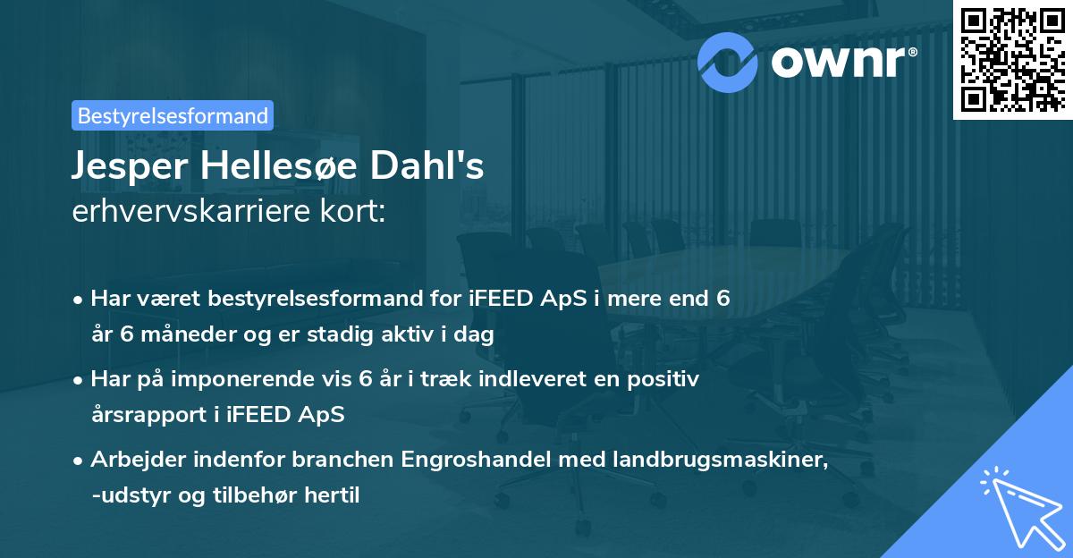Jesper Hellesøe Dahl's erhvervskarriere kort