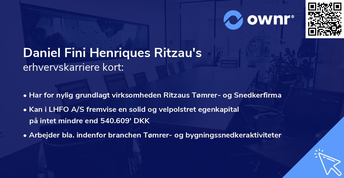 Daniel Fini Henriques Ritzau's erhvervskarriere kort