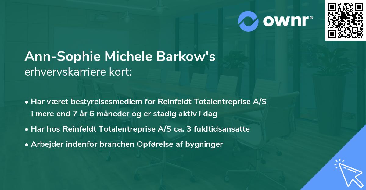 Ann-Sophie Michele Barkow's erhvervskarriere kort