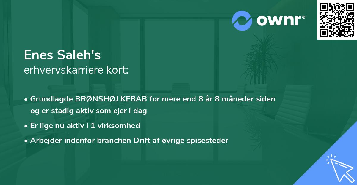 Enes Saleh's erhvervskarriere kort