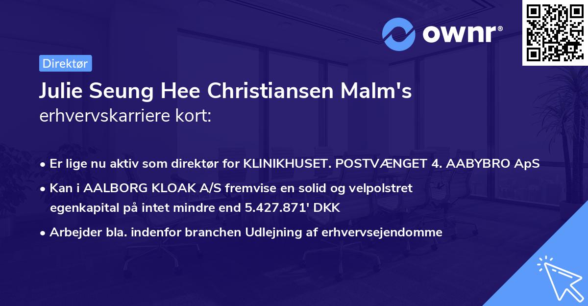 Julie Seung Hee Christiansen Malm's erhvervskarriere kort