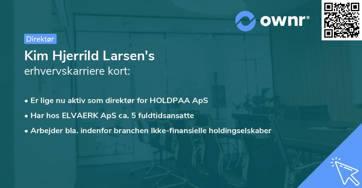 Kim Hjerrild Larsen's erhvervskarriere kort