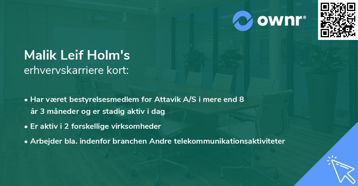 Malik Leif Holm's erhvervskarriere kort