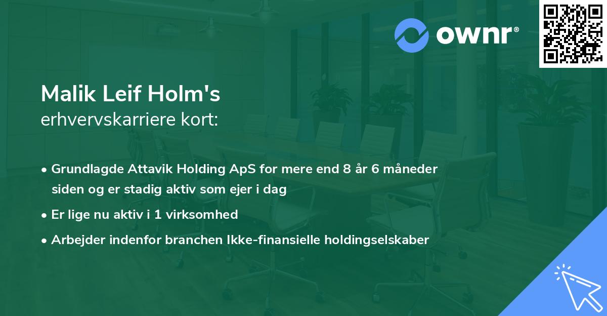 Malik Leif Holm's erhvervskarriere kort