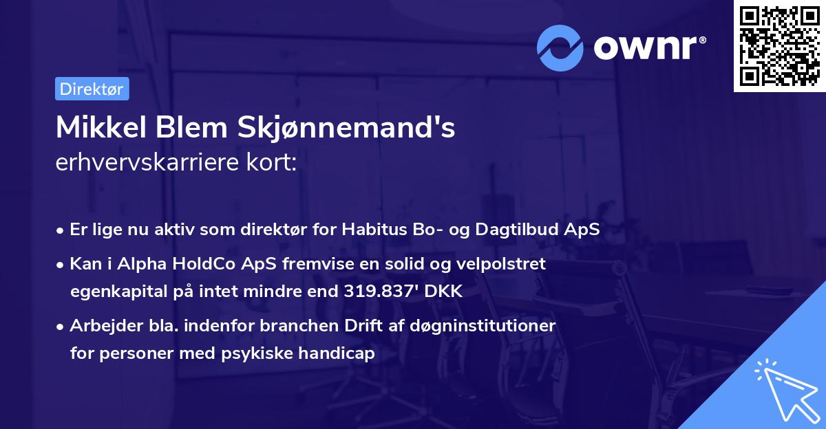 Mikkel Blem Skjønnemand's erhvervskarriere kort