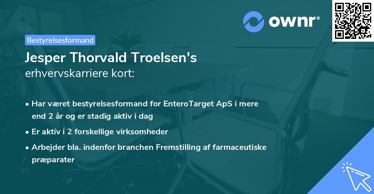 Jesper Thorvald Troelsen's erhvervskarriere kort