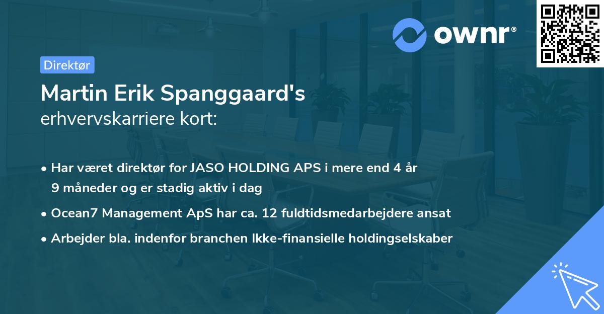 Martin Erik Spanggaard's erhvervskarriere kort