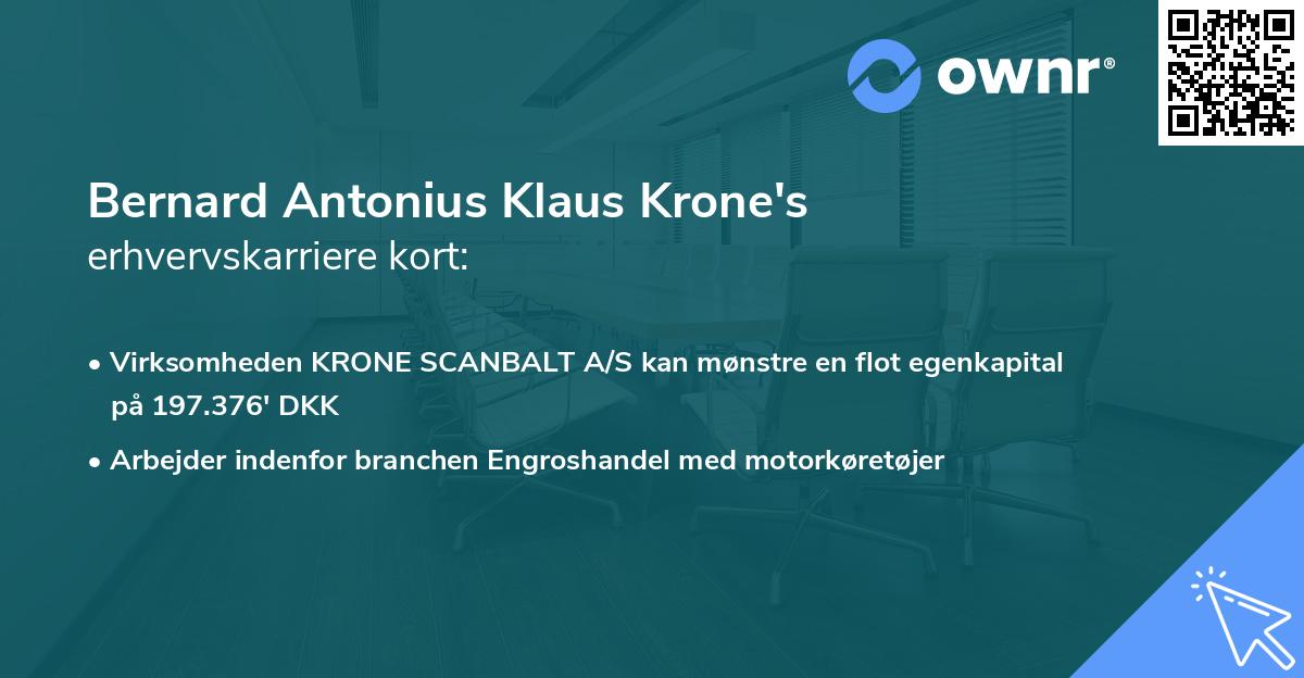 Bernard Antonius Klaus Krone's erhvervskarriere kort