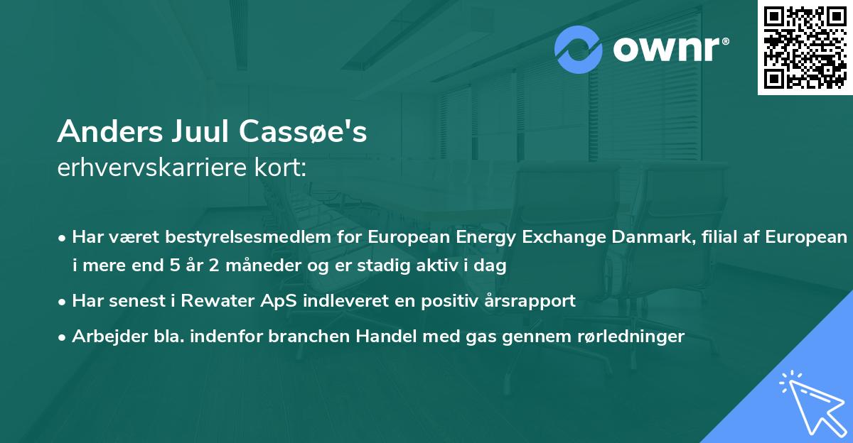 Anders Juul Cassøe's erhvervskarriere kort