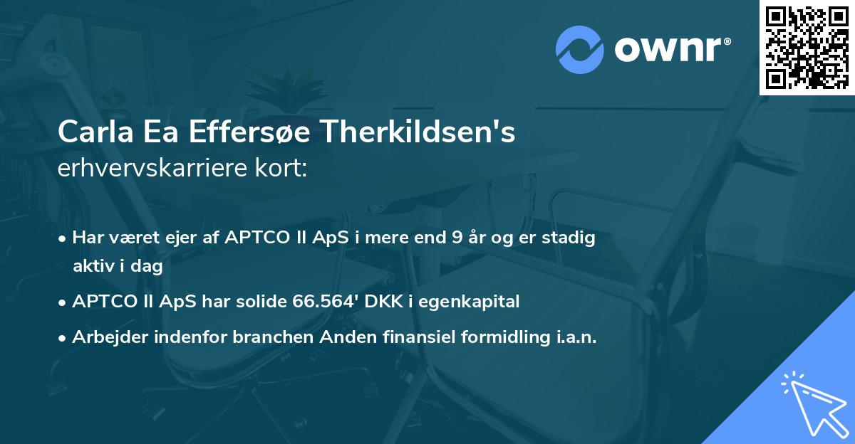 Carla Ea Effersøe Therkildsen's erhvervskarriere kort