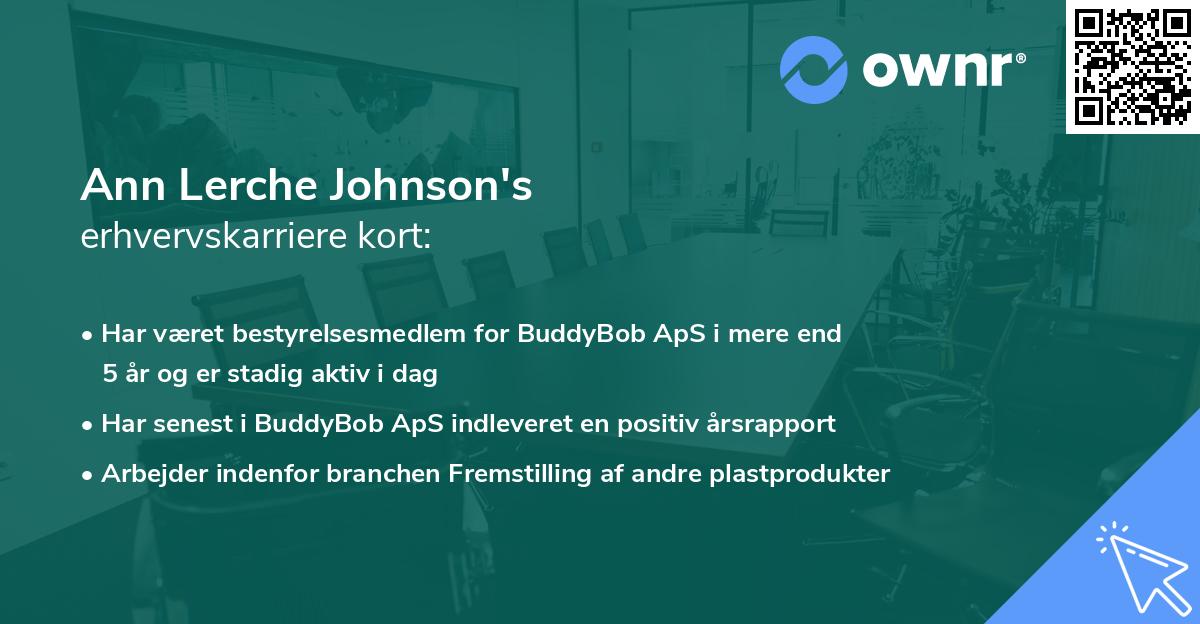 Ann Lerche Johnson's erhvervskarriere kort