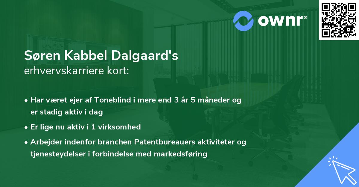 Søren Kabbel Dalgaard's erhvervskarriere kort