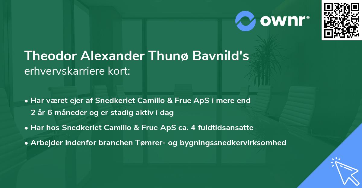 Theodor Alexander Thunø Bavnild's erhvervskarriere kort
