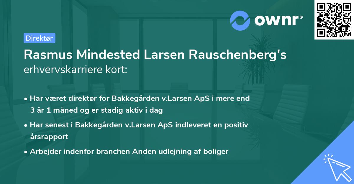 Rasmus Mindested Larsen Rauschenberg's erhvervskarriere kort