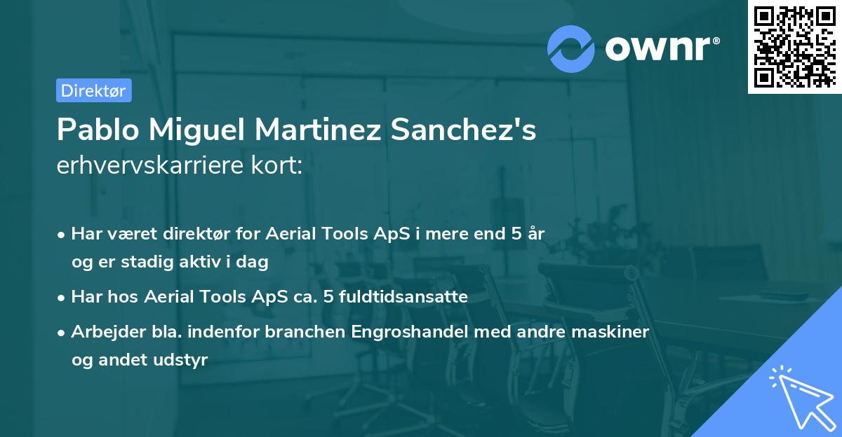 Pablo Miguel Martinez Sanchez's erhvervskarriere kort