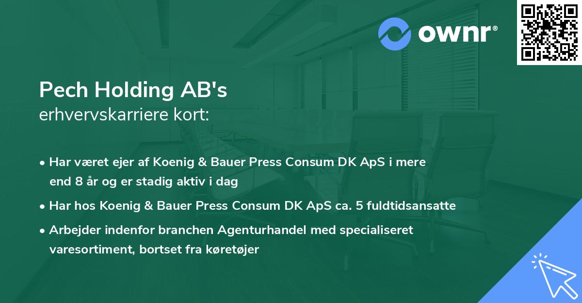 Pech Holding AB's erhvervskarriere kort