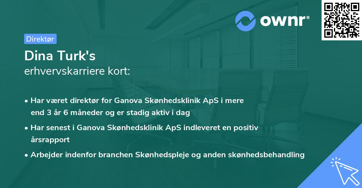 Dina Turk's erhvervskarriere kort