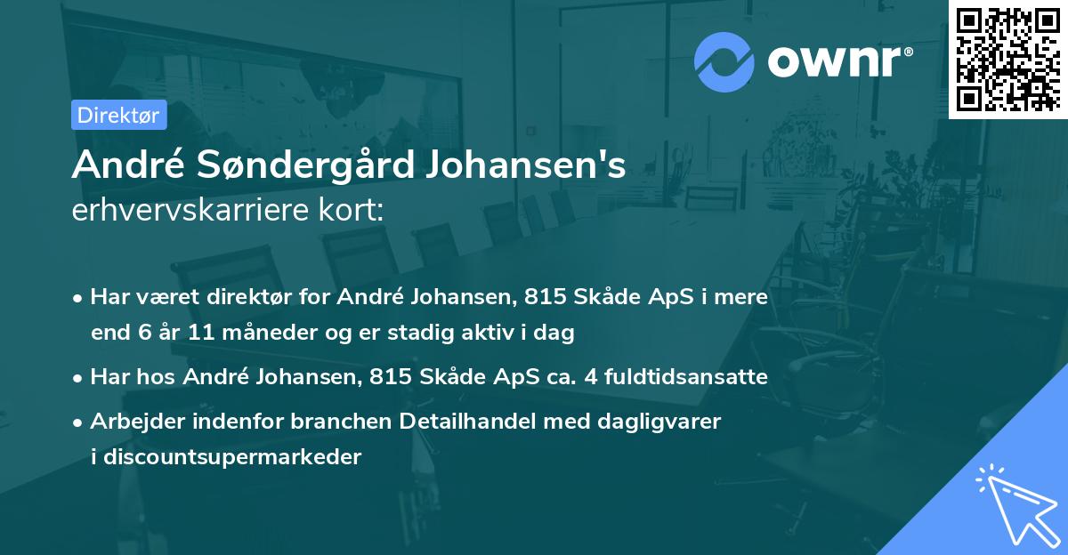 André Søndergård Johansen's erhvervskarriere kort