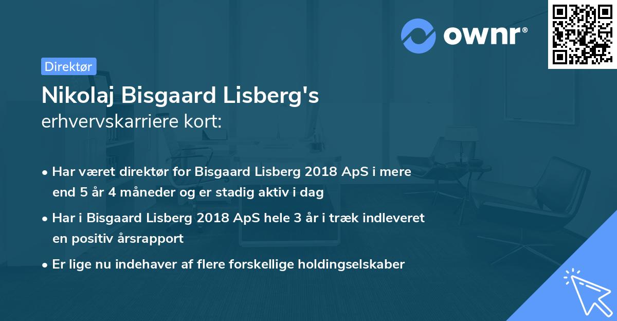 Nikolaj Bisgaard Lisberg's erhvervskarriere kort